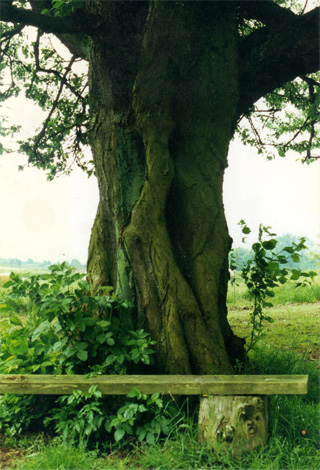 psychogenealogie