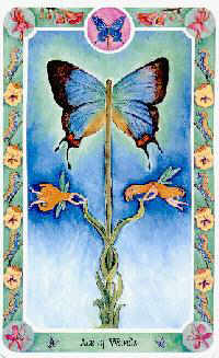 Tarot de l'Enfant intérieur carte 3